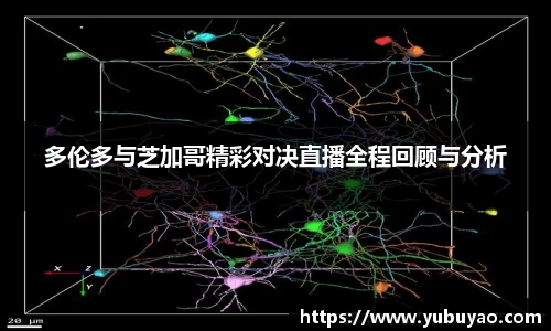 彩神VI首页
